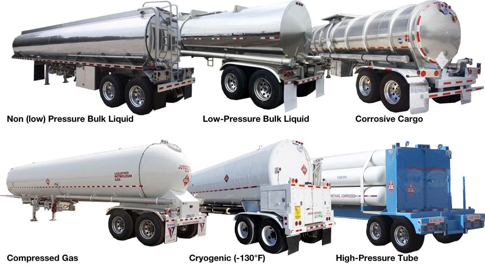 وسام الأوحد